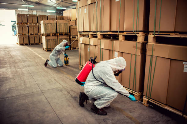 Best Best Pest Control Companies  in Smithsburg, MD