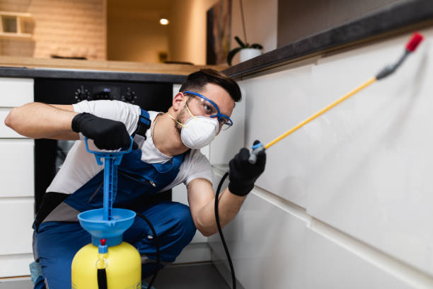Best Bed Bug Extermination  in Smithsburg, MD
