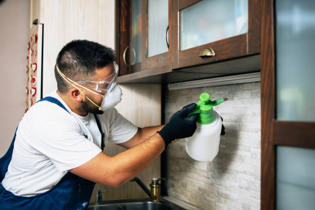 Best Rat Extermination Near Me  in Smithsburg, MD