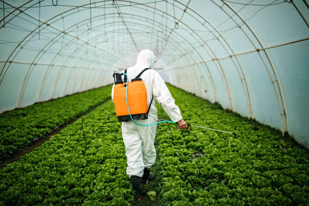 Best Pest Control Near Me  in Smithsburg, MD