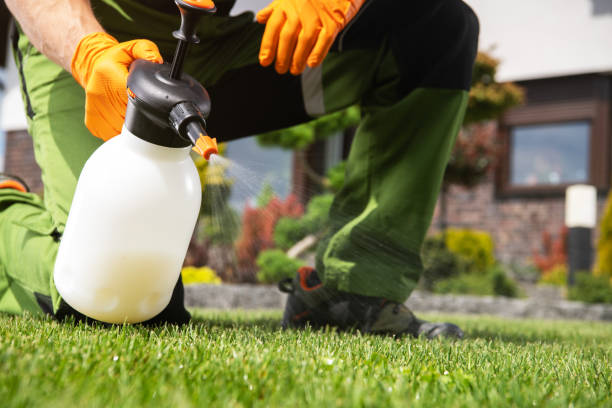Best Mosquito Control Services  in Smithsburg, MD