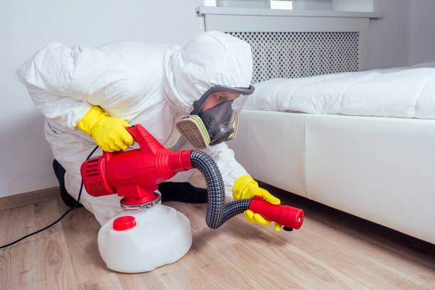 Insect Control in Smithsburg, MD