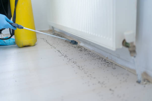 Professional Pest Control in Smithsburg, MD