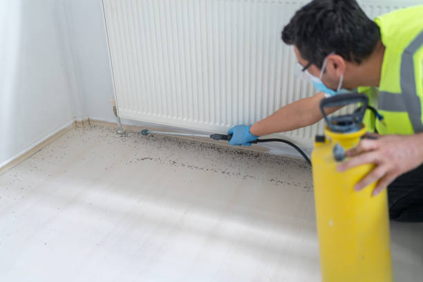 Best Bed Bug Extermination  in Smithsburg, MD
